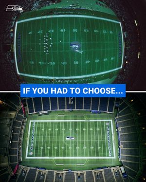 Image post by @seahawks on Instagram