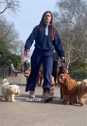 Video post by @60minutes on TikTok