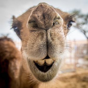 Image post by @Discovery on Twitter