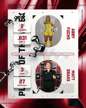 Image post by @arcadia_knights on Instagram