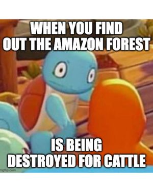 Image post by @greenpeace on Instagram
