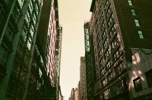 Image post by @emilygoldphotography on Instagram