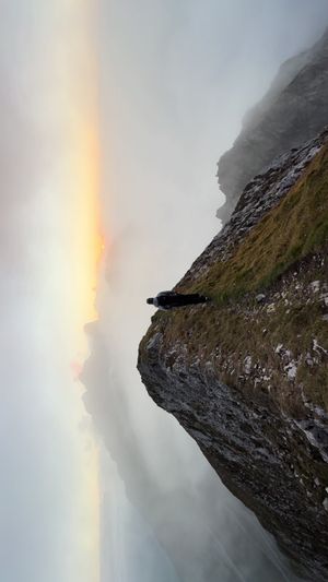 Video post by @brookedhondt on TikTok