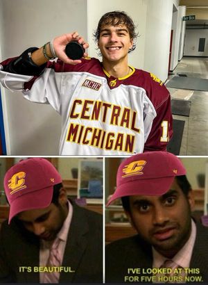 Image post by @CMUHOCKEYDIII on Twitter