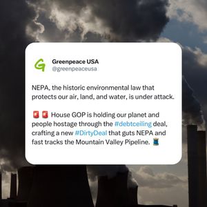 Image post by @greenpeaceusa on Instagram
