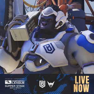 Image post by @bostonuprising on Instagram