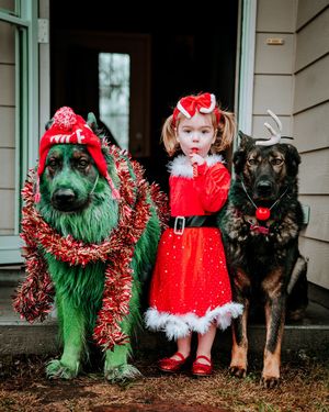 Image post by @pupfluence on Instagram