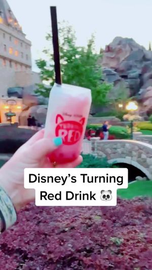 Video post by @livinglocurto on TikTok