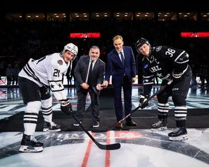 Image post by @theahl on Instagram