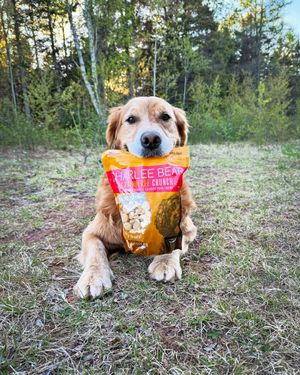 Image post by @charlee_bear_dogtreats on Instagram