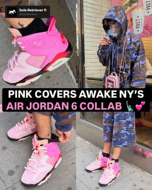 Image post by @soleretriever on Instagram