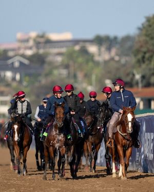 Image post by @hriracing on Instagram