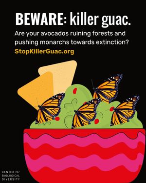 Image post by @centerforbiodiv on Instagram