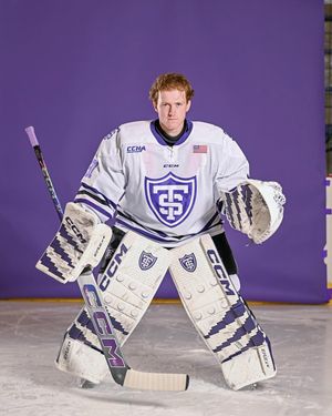Image post by @everythingcollegehockey on Instagram
