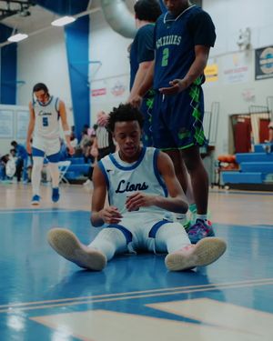 Video post by @theloganholland on TikTok