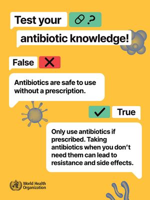 Image post by @who on Instagram