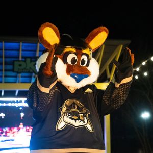 Image post by @swamprabbits on Instagram
