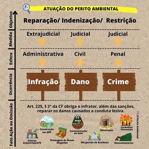Image post by @operitoambiental on Instagram