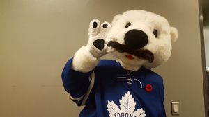 Image post by @CarltonTheBear on Twitter