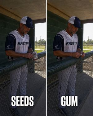 Image post by @usssaslowpitch on Instagram