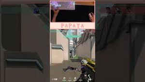 Video post by @artisanpapaya on YouTube