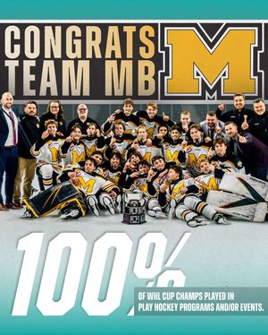 Image post by @playhockeyna on Instagram