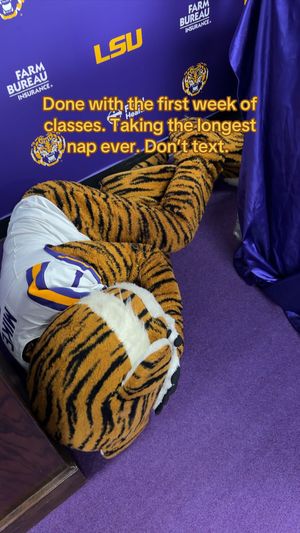 Video post by @lsu on TikTok