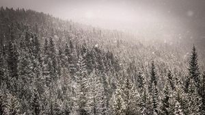 Image post by @breckenridgemtn on Instagram