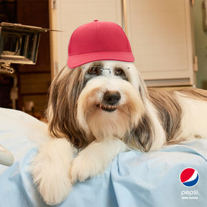 Image post by @pepsi on Twitter