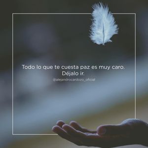 Image post by @alejandrocardozo_oficial on Instagram