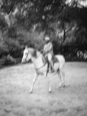 Image post by @stroman on Instagram