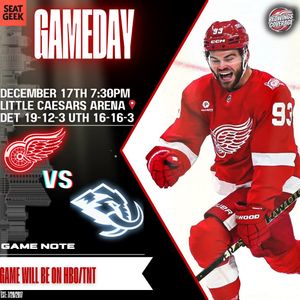 Image post by @redwingscoverage on Instagram