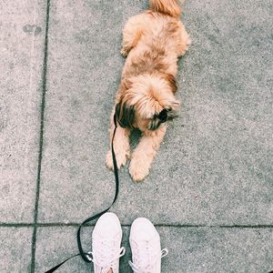 Image post by @collectivelyinc on Instagram