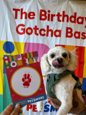 Video post by @petsmart on TikTok