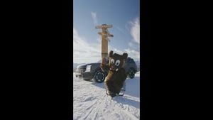 Video post by @mammothmountain on YouTube
