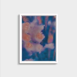 Image post by @newvisualthings on Instagram