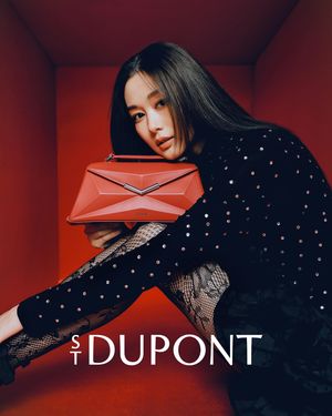Image post by @stdupont on Instagram