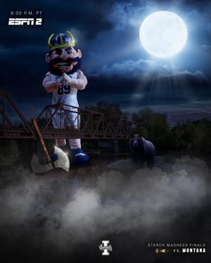 Image post by @vandalhoops on Instagram