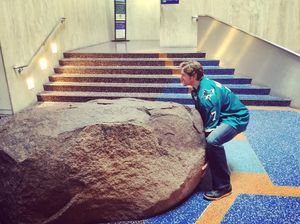 Image post by @sanjosesharks on Instagram