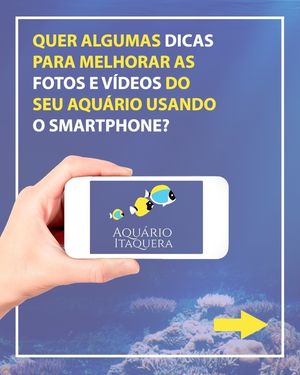Image post by @aquarioitaquera on Instagram