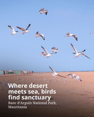 Image post by @unesco on Instagram