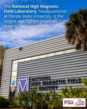 Image post by @floridastateuniversity on Instagram
