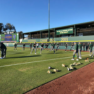 Image post by @baylorbaseball on Instagram