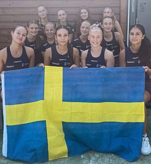 Image post by @padeldirekt on Instagram