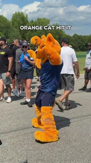 Video post by @motoamerica on TikTok