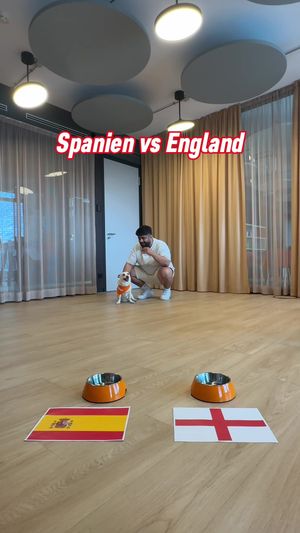 Video post by @toggo on TikTok