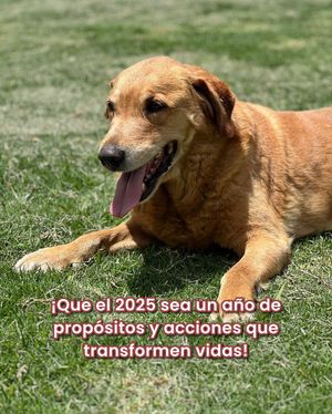 Image post by @tierradenando on Instagram