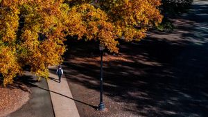 Image post by @ua_admissions on Instagram