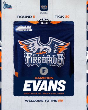 Image post by @flintfirebirds on Instagram