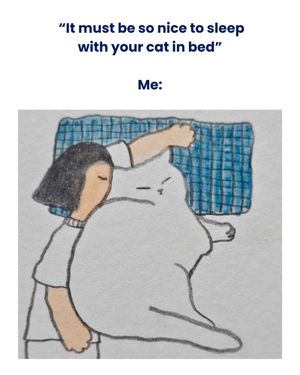 Image post by @solidgoldpets on Instagram